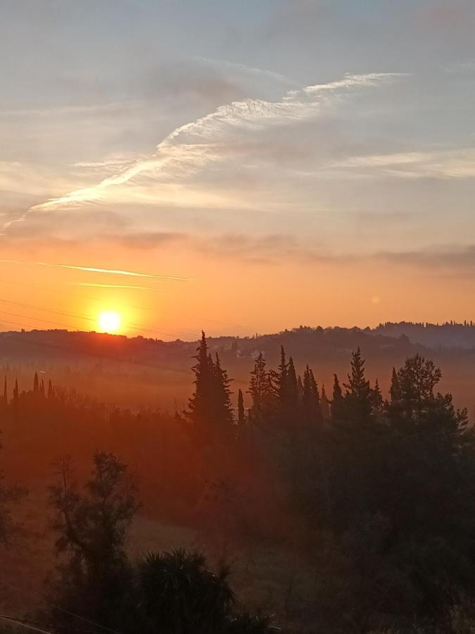 La Piccola Montagna Kynopiastai